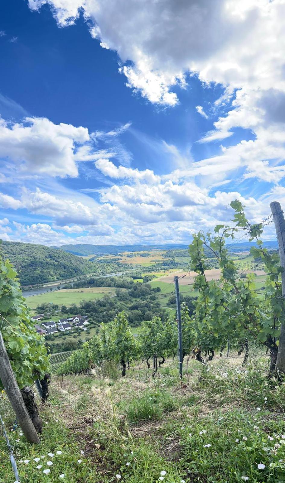 Ferienwohnungen Im Kimmelreich Irsch Buitenkant foto